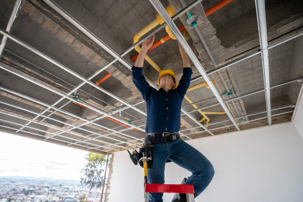 Best Affordable Plumber Near Me  in Melissa, TX
