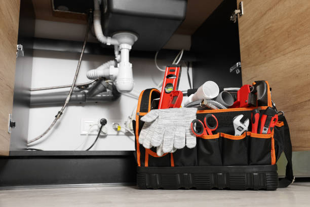 Best Clogged Drain Plumber  in Melissa, TX